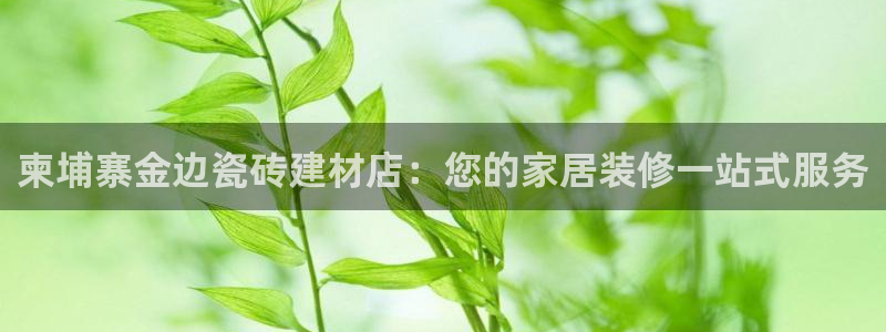 杏鑫平台广7O777
