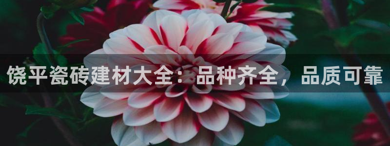 杏鑫平台代理怎么样