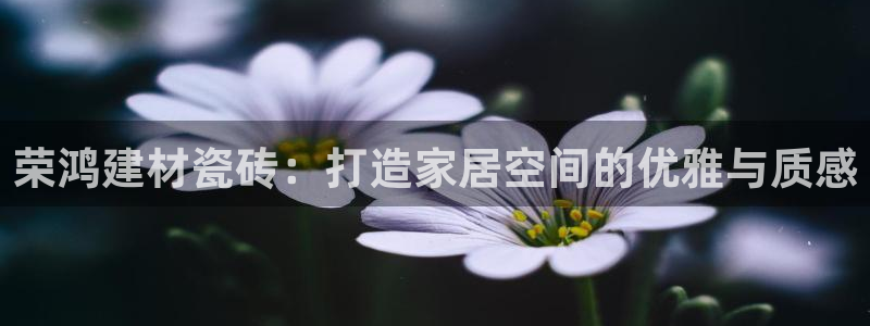 杏鑫平台代理怎么做