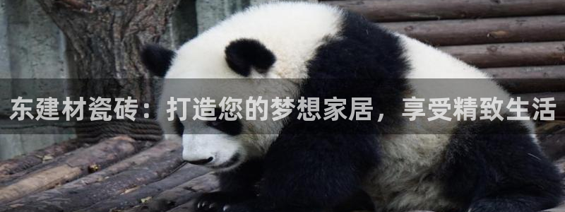杏鑫平台代理怎么做