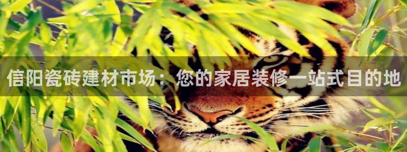 杏鑫娱乐是合法的吗是真的吗