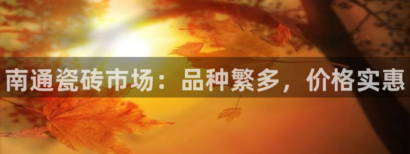杏鑫平台平台