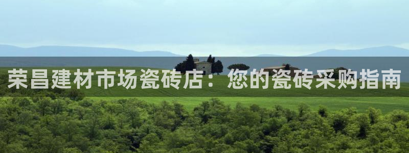 杏鑫娱乐开发团队