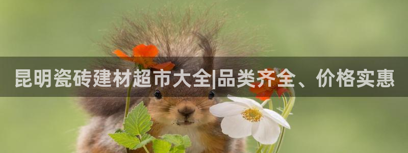 杏鑫官方app代理