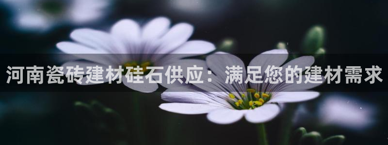 杏鑫官方平台怎么样啊安全吗