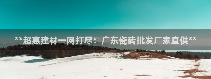 杏鑫3主管