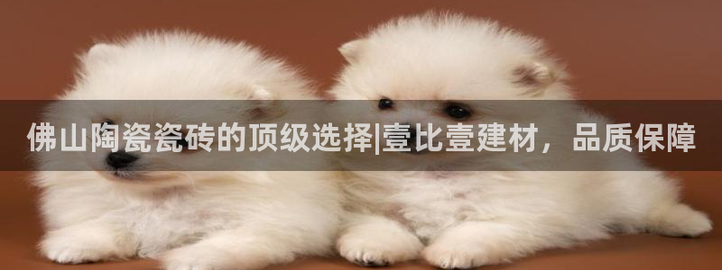 杏鑫官网注册账号密码忘了