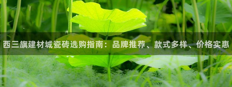 杏鑫官网注册账号怎么注册的