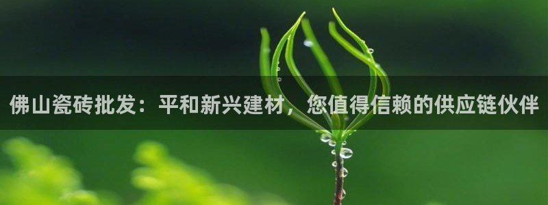 杏鑫注册地址