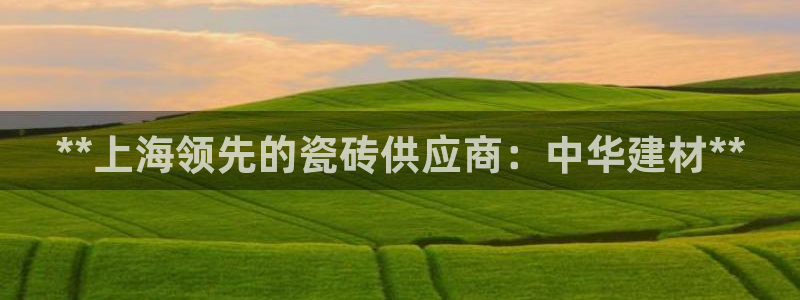 杏鑫平台代理怎么做