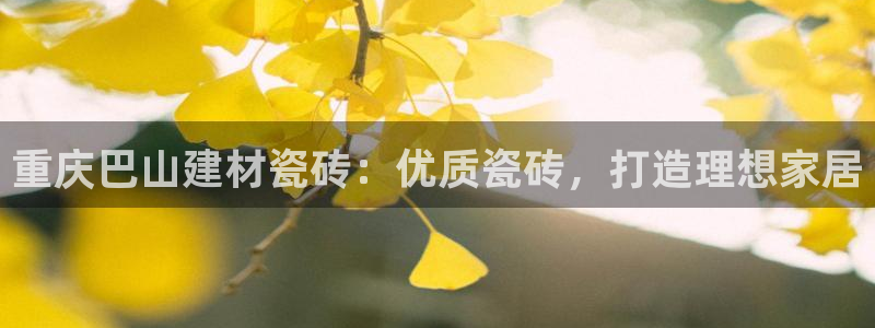 杏鑫主管