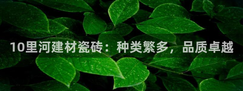 杏鑫代理注册登录