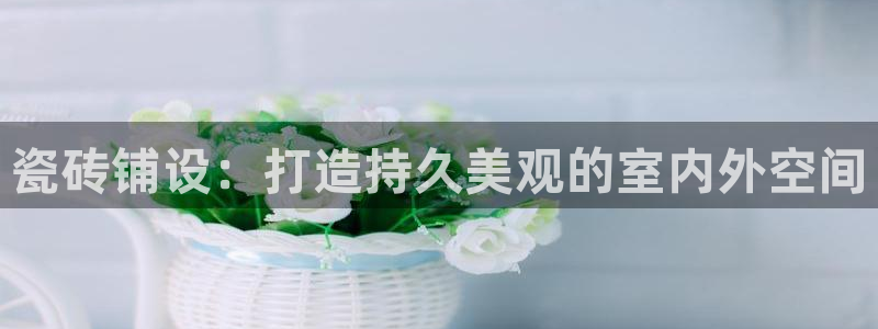 杏鑫主管