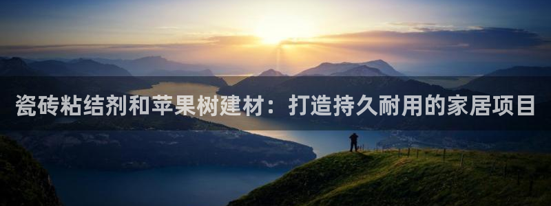 杏鑫官方app代理