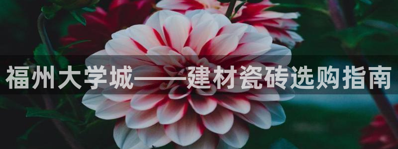 杏鑫平台代理怎么样可靠吗