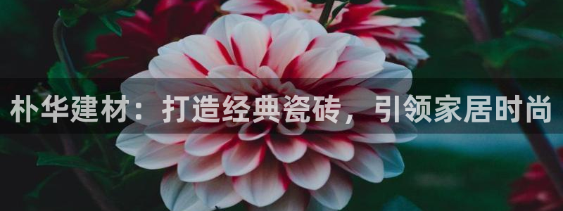 杏鑫官网注册账号密码