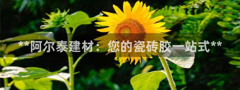 杏鑫平台广7O777