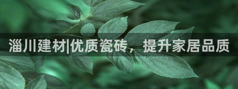 杏鑫娱乐官方网站客户端