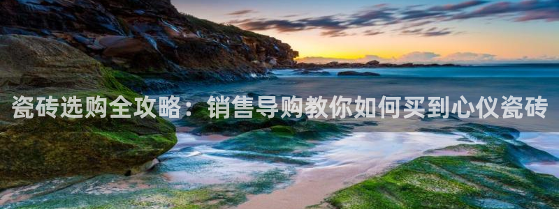 杏鑫官方平台怎么样