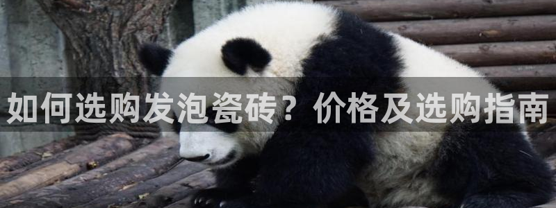 杏鑫平台登录地址查询