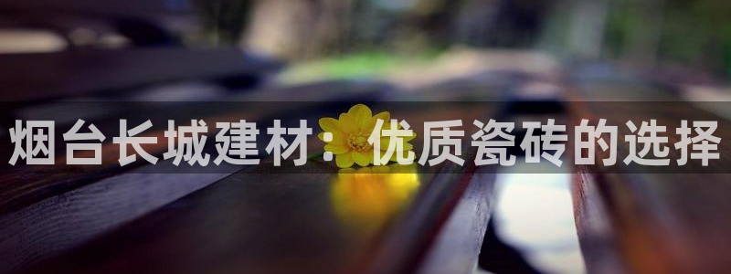 杏鑫平台代理注册流程图