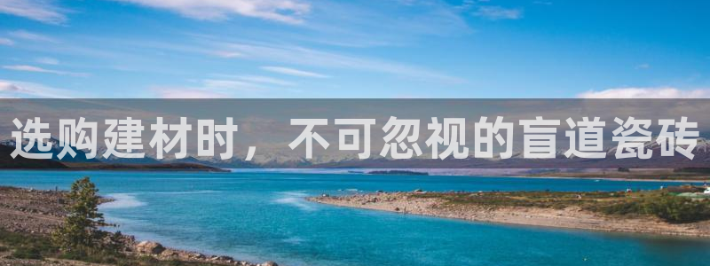 杏鑫平台注册地址
