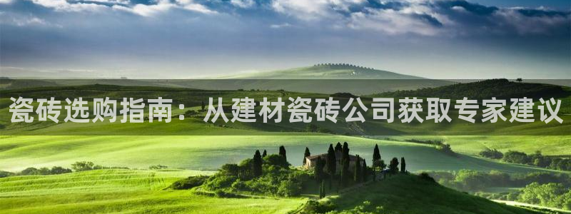 杏鑫平台代理怎么做