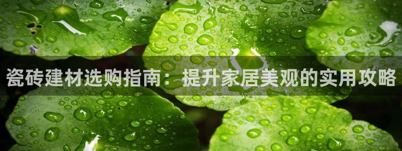 杏鑫娱乐负责人