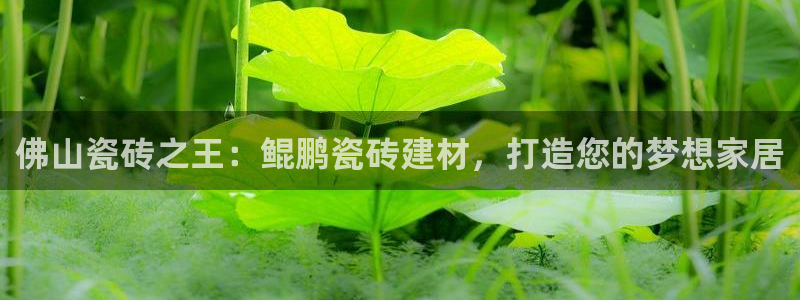 杏鑫代理注册平台