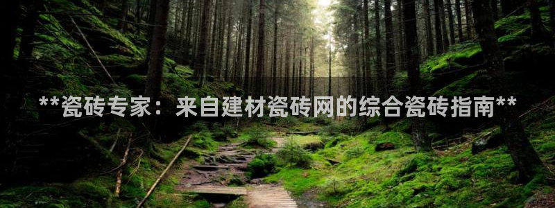 杏鑫平台代理怎么做赚钱