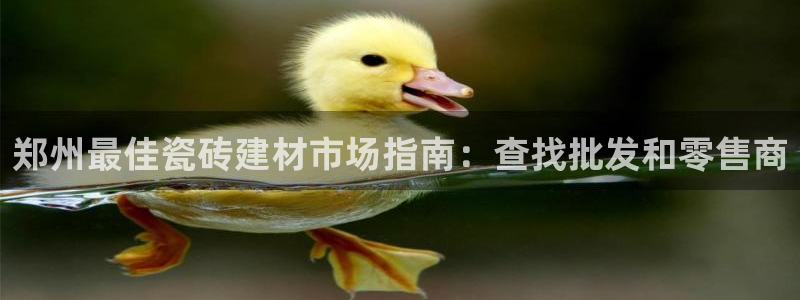 杏鑫平台平台娱乐