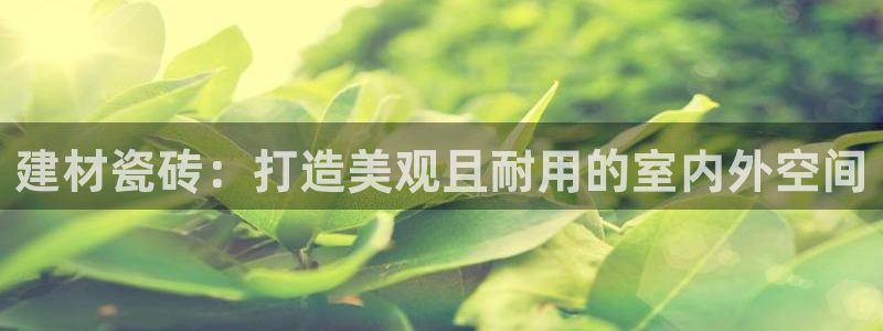 杏鑫注册登陆