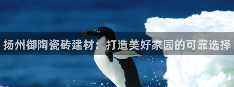 杏鑫注册登录代理