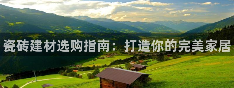杏鑫官方平台怎么样啊知乎