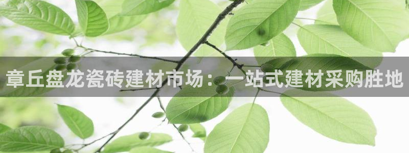 杏鑫平台代理怎么做赚钱