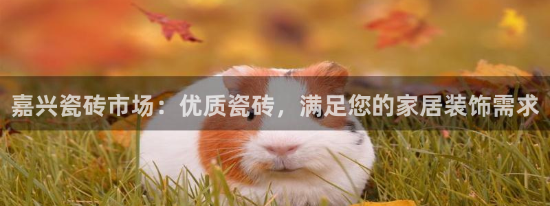 杏鑫官网注册账号密码忘了