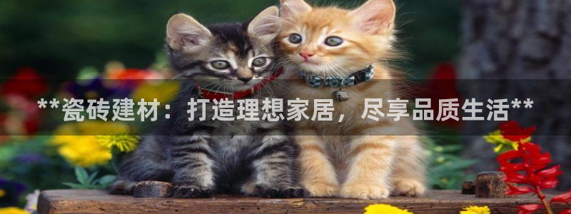 杏鑫平台正规吗