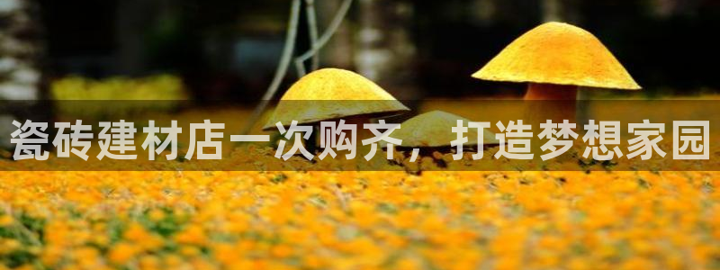 杏鑫官网