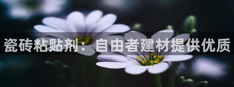 杏鑫平台注册地址