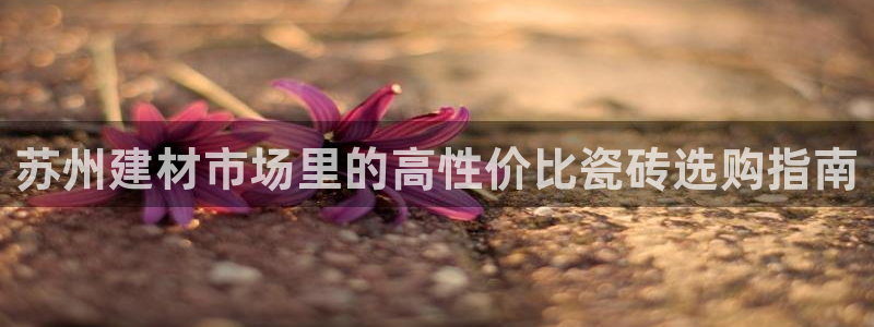 杏鑫平台野马联盟怎么样