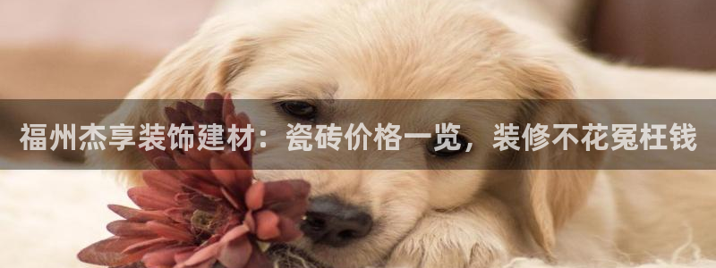 杏鑫平台招商怎么样啊