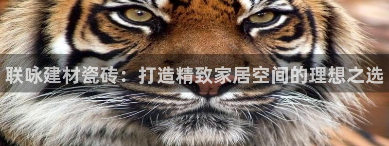 杏鑫平台招商怎么样啊