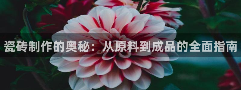 杏鑫平台代理怎么样可靠吗