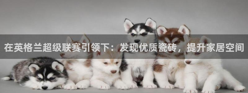 杏鑫官方平台怎么样