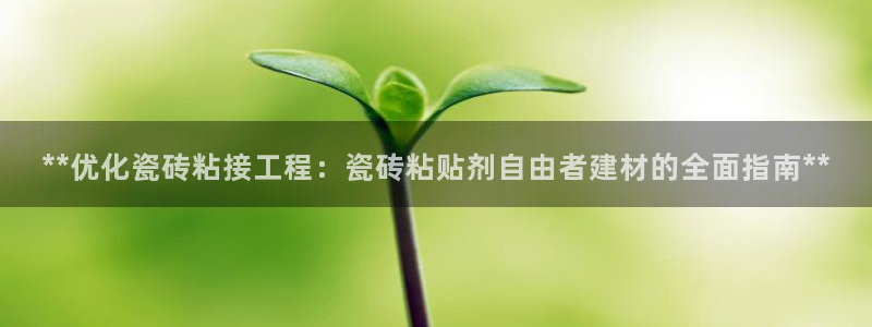 杏鑫平台招商怎么样啊