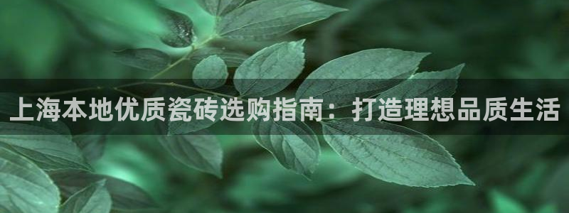 杏鑫平台代理怎么样