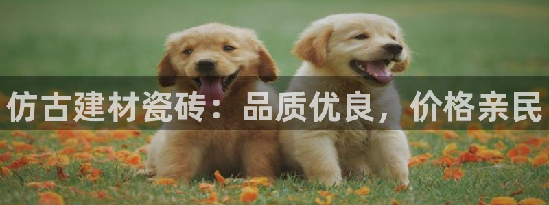 杏鑫娱乐是真的吗知乎