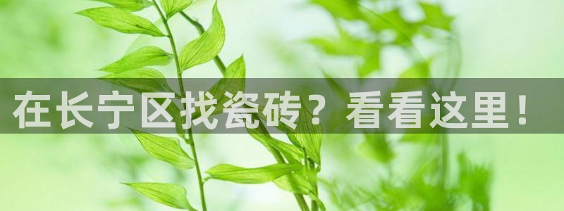 杏鑫平台招商电话是多少