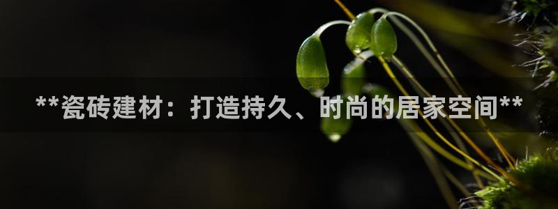 杏鑫平台招商电话是多少