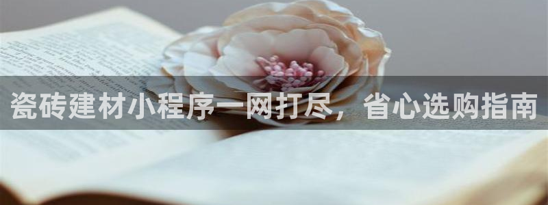 杏鑫平台代理注册流程